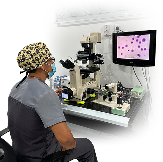 Biologo